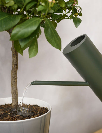 indoor plants watering can Stelton