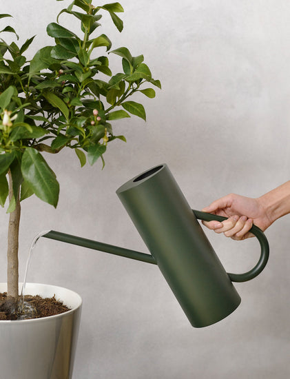 indoor watering cans for plants Stelton