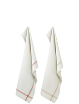 Z00113