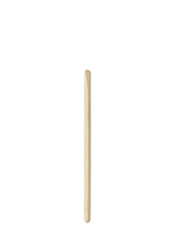 Z00308